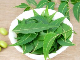 सुबह बासी मुंह नीम की पत्तियां चबाकर खाने से क्या होता है? सुबह बासी मुंह नीम की पत्तियां चबाकर खाने से क्या होता है?