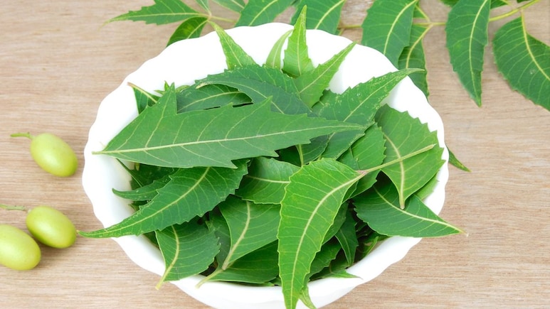 सुबह बासी मुंह नीम की पत्तियां चबाकर खाने से क्या होता है? सुबह बासी मुंह नीम की पत्तियां चबाकर खाने से क्या होता है?