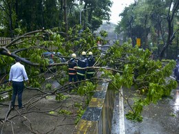 जमकर बरस रहा है मॉनसून, मुंबई में टूट गया 107 साल का रिकॉर्ड,  रेड अर्लट जारी; यहां जानिए पूरे देश का हाल जमकर बरस रहा है मॉनसून, मुंबई में टूट गया 107 साल का रिकॉर्ड,  रेड अर्लट जारी; यहां जानिए पूरे देश का हाल