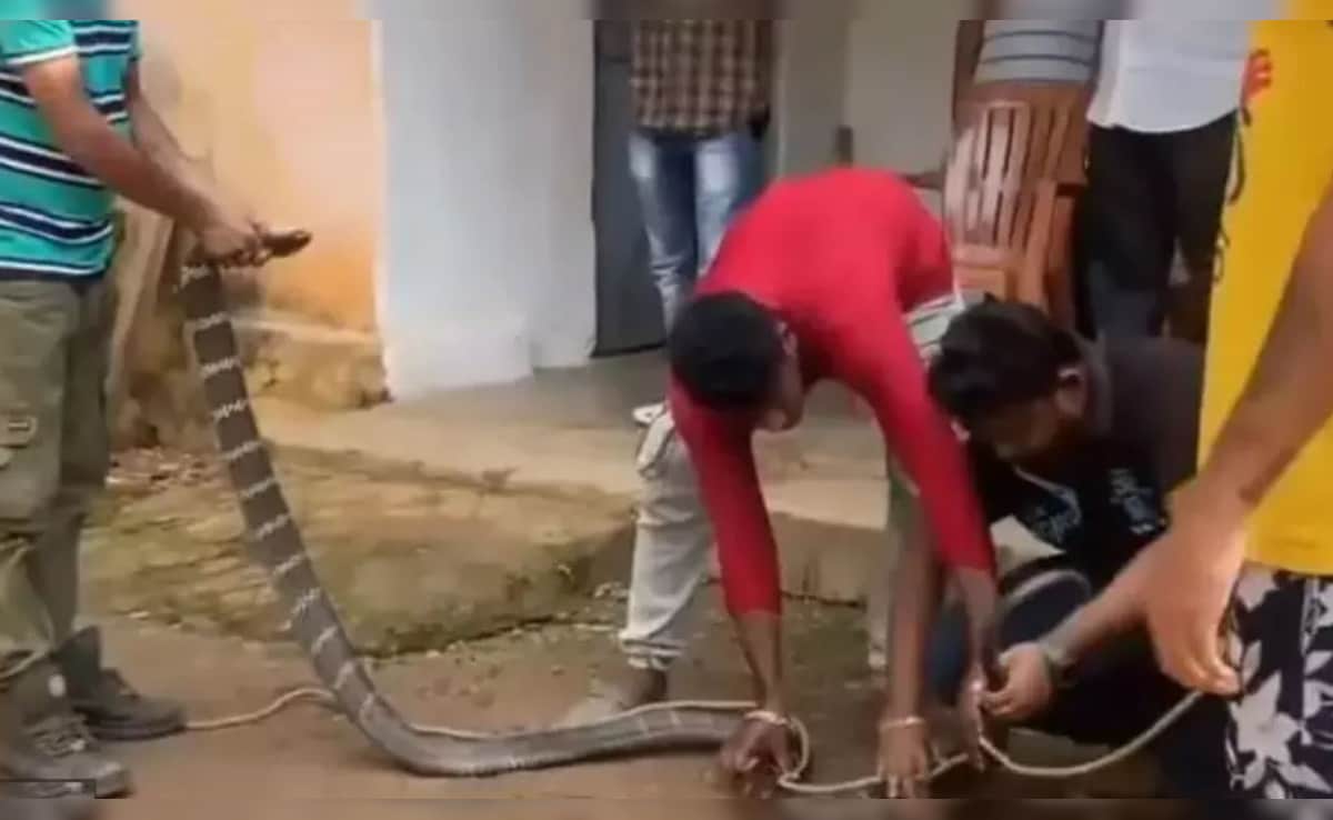 एनडीटीव्ही वर नवीनतम आणि ब्रेकिंग न्यूज