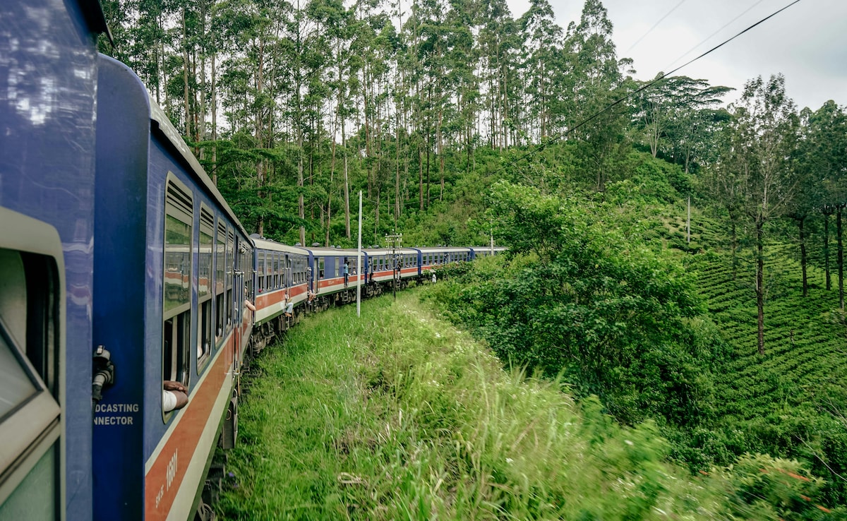 Photo: Unsplash Photo: Unsplash