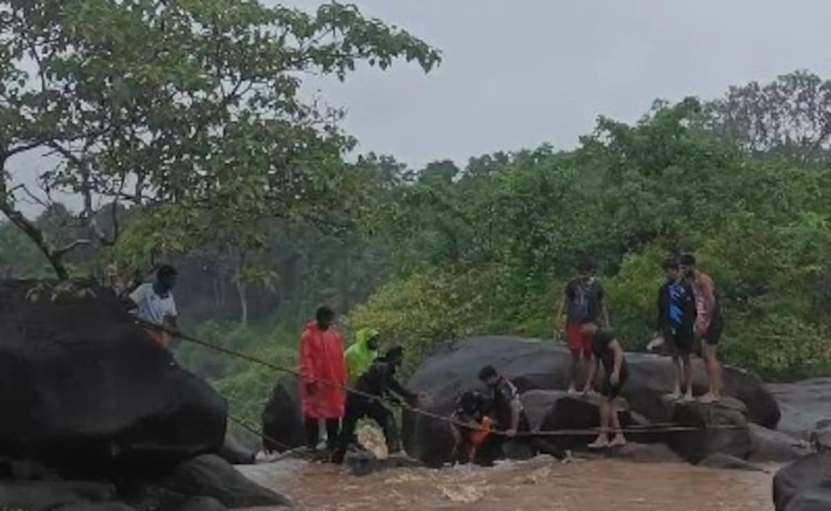 Бързо четене Резюме е генериран от AI прегледано Newsroom Петима