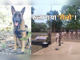 मधुमक्खियों के हमले में CRPF का 'रोलो' शहीद, कई नक्सल विरोधी अभियानों में निभाई बड़ी भूमिका