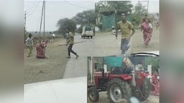 मध्य प्रदेश में वन अमले पर भीड़ ने किया पथराव, तीन घायल; ट्रैक्टर भी छुड़ा ले गए अतिक्रमणकारी&nbsp;
