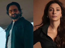 Rajasthan Government Challenges Acquittal Of Actors Saif Ali Khan, Tabu In Blackbuck Poaching Case Rajasthan Government Challenges Acquittal Of Actors Saif Ali Khan, Tabu In Blackbuck Poaching Case