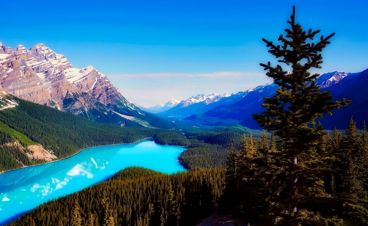 Peyto Lake. Photo: Pixabay Peyto Lake. Photo: Pixabay