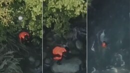 J&K : कुलगाममधील तरुणाचा संशयास्पद मृत्यू प्रकरण तापलं, न्यायालयीन तपासाची मागणी; ड्रोन व्हिडिओमुळे गूढ उकललं