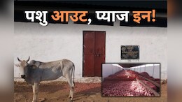 Shivpuri News: सड़क दुर्घटना का कारण बन रही आवारा मवेशी, गौशाला में दबंगों ने कब्जा कर किया प्याज का भंडारण
