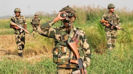 Pakistani Intruder, Trying To Enter India, Arrested By Border Forces In Punjab