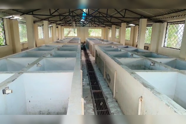 Latest and Breaking News on NDTV