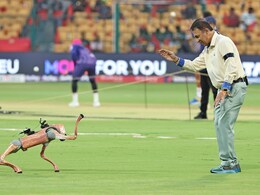 BCCI Sued After Naming IPL Robotic Dog 'Champak' - Everything You Need To Know