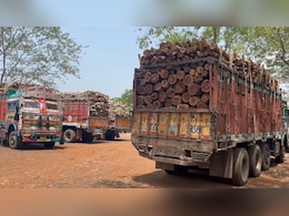 Nilgiri Tree Smuggling: पुष्पा फिल्म की तर्ज पर कर रहे थे नीलगिरी पेड़ों की तस्करी, वन विभाग ने जब्त किए चार ट्रक Nilgiri Tree Smuggling: पुष्पा फिल्म की तर्ज पर कर रहे थे नीलगिरी पेड़ों की तस्करी, वन विभाग ने जब्त किए चार ट्रक