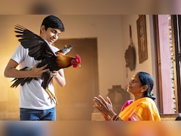 मां के हाथ का मुर्गा खाना चाहता था बेटा, नहीं मिला तो कर ली खुदकुशी मां के हाथ का मुर्गा खाना चाहता था बेटा, नहीं मिला तो कर ली खुदकुशी