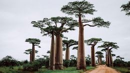 5 Of The World's Largest Islands Worth Adding To Your Travel Wishlist