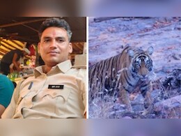 Ranthambore Tiger Attack: रणथंभौर में बाघ के हमले में रेंजर की मौत, 1 महीने में टाइगर ने 2 लोगों को बनाया शिकार Ranthambore Tiger Attack: रणथंभौर में बाघ के हमले में रेंजर की मौत, 1 महीने में टाइगर ने 2 लोगों को बनाया शिकार