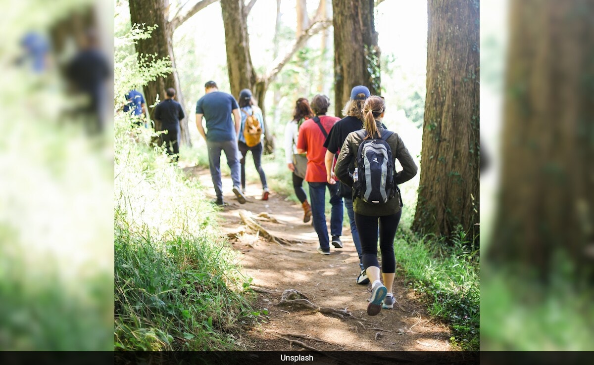 Бързо четене Резюме е генериран от AI прегледано Newsroom Стилът