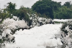 Tamil Nadu: Sea Of Toxic Foam From Krishnagiri Dam, Officials Blame Karnataka Industries Tamil Nadu: Sea Of Toxic Foam From Krishnagiri Dam, Officials Blame Karnataka Industries