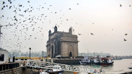 'Not Irrational, Arbitrary': Jetty Near Gateway Of India Cleared By High Court