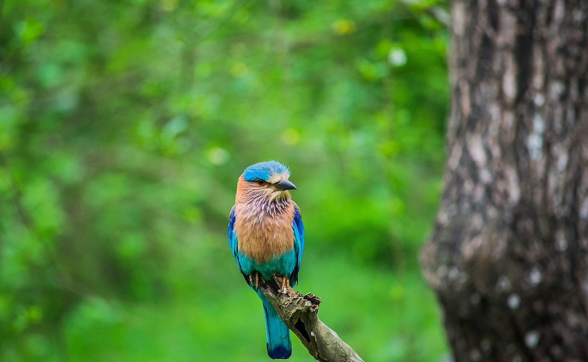 Photo: Pixabay Photo: Pixabay