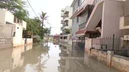 Waterlogging, Trees Uprooted After Heavy Rain In Bengaluru