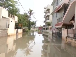 Waterlogging, Trees Uprooted After Heavy Rain In Bengaluru Waterlogging, Trees Uprooted After Heavy Rain In Bengaluru