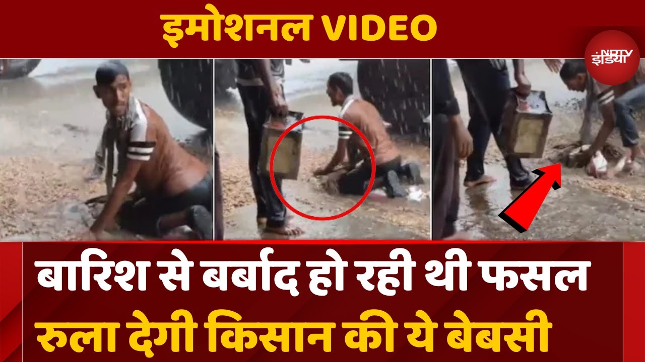 बारिश में बहती फसल और बेबस किसान, Imotional Video रुला देगा