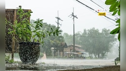 Monsoon news: मान्सूनचं आगमन लवकर झालं म्हणजे पाऊस यंदा लवकर जाणार का? तज्ज्ञ काय सांगतात?