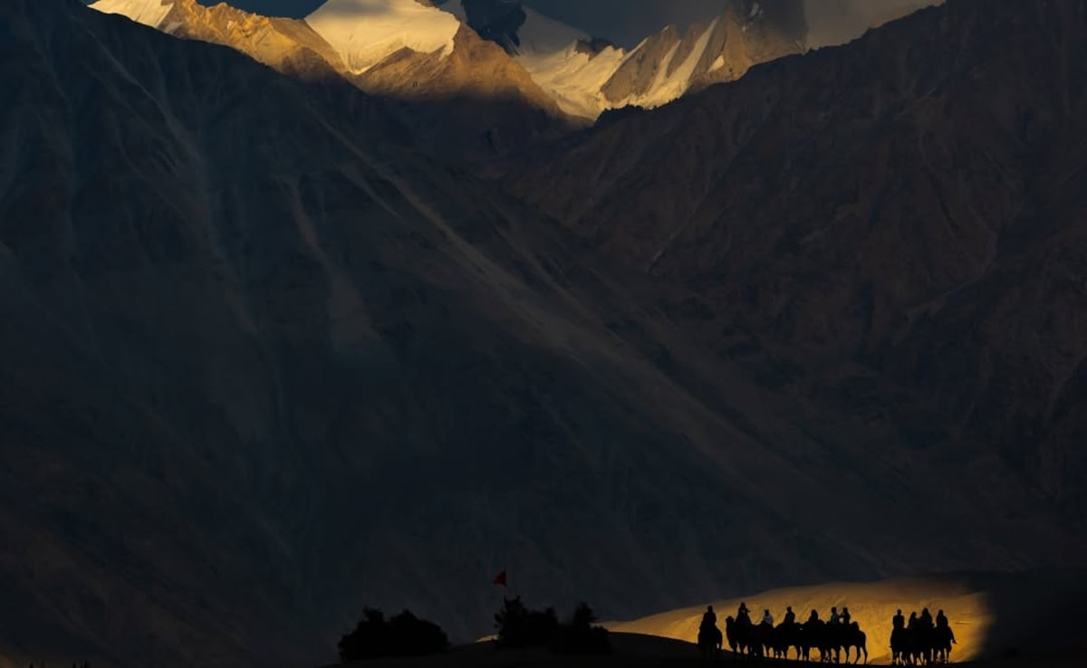 Nubra. Photo: Instagram/salil_pandavaas Nubra. Photo: Instagram/salil_pandavaas