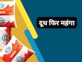 Milk Price Hike: अमूल और मदर डेयरी के बाद अब सांची दूध के दाम भी बढ़े, एमपी में पड़ेगा असर