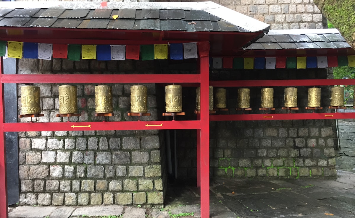 Latest and Breaking News on NDTV Latest and Breaking News on NDTV