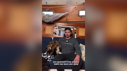From Boardrooms To Boat Decks: Oliver Widger's Journey To Freedom With Pet Cat