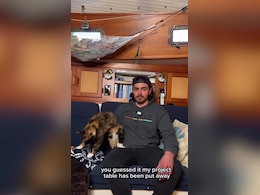 From Boardrooms To Boat Decks: Oliver Widger's Journey To Freedom With Pet Cat From Boardrooms To Boat Decks: Oliver Widger's Journey To Freedom With Pet Cat