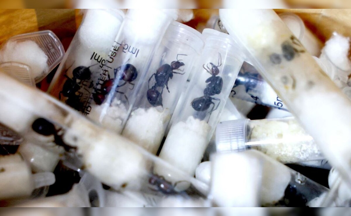 Latest and Breaking News on NDTV Latest and Breaking News on NDTV