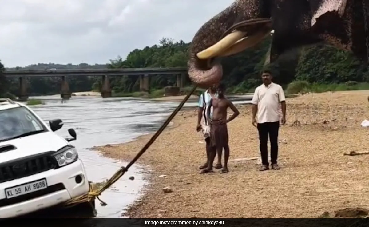 Бързо четене Резюме е генериран от AI прегледано Newsroom Видео