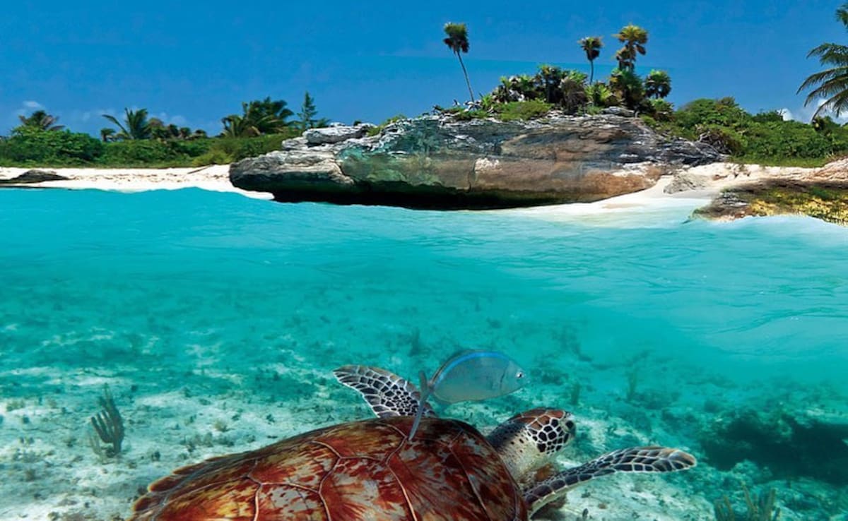 Photo: Instagram/matteo_baldo_honorary_consul