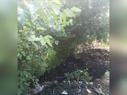 Man Resting Under Tree Dies After Civic Workers Dump Sludge On Him