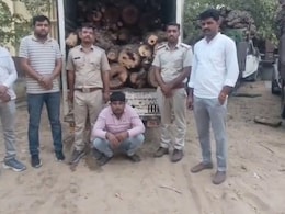 Jhunjhunu: हरियाणा जा रही थी 30 क्विंटल प्रतिबंधित खेजड़ी की लकड़ी, डाक पार्सल के जरिए हो रही थी तस्करी Jhunjhunu: हरियाणा जा रही थी 30 क्विंटल प्रतिबंधित खेजड़ी की लकड़ी, डाक पार्सल के जरिए हो रही थी तस्करी