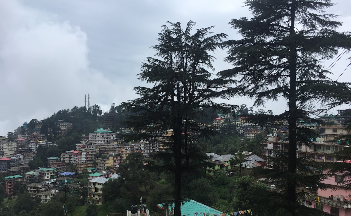 Dharamshala несъмнено е една от най популярните хълмови станции в