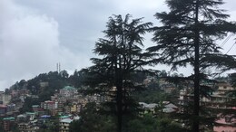 6 Best Things To Do In Dharamshala And McLeod Ganj For A Memorable Trip