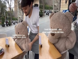 Viral Now: Woman Dining Alone At Spanish Cafe Gets A Cute And Unexpected Companion, Internet Approves Viral Now: Woman Dining Alone At Spanish Cafe Gets A Cute And Unexpected Companion, Internet Approves