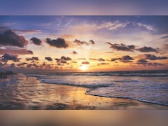 Swimmers Face Fecal Contamination At Beaches Along US Coastline