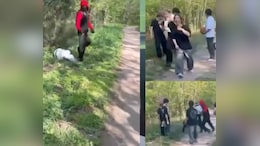 US Teens Assault Two Girls In Park, Shave Victim's Head In Shocking Attack