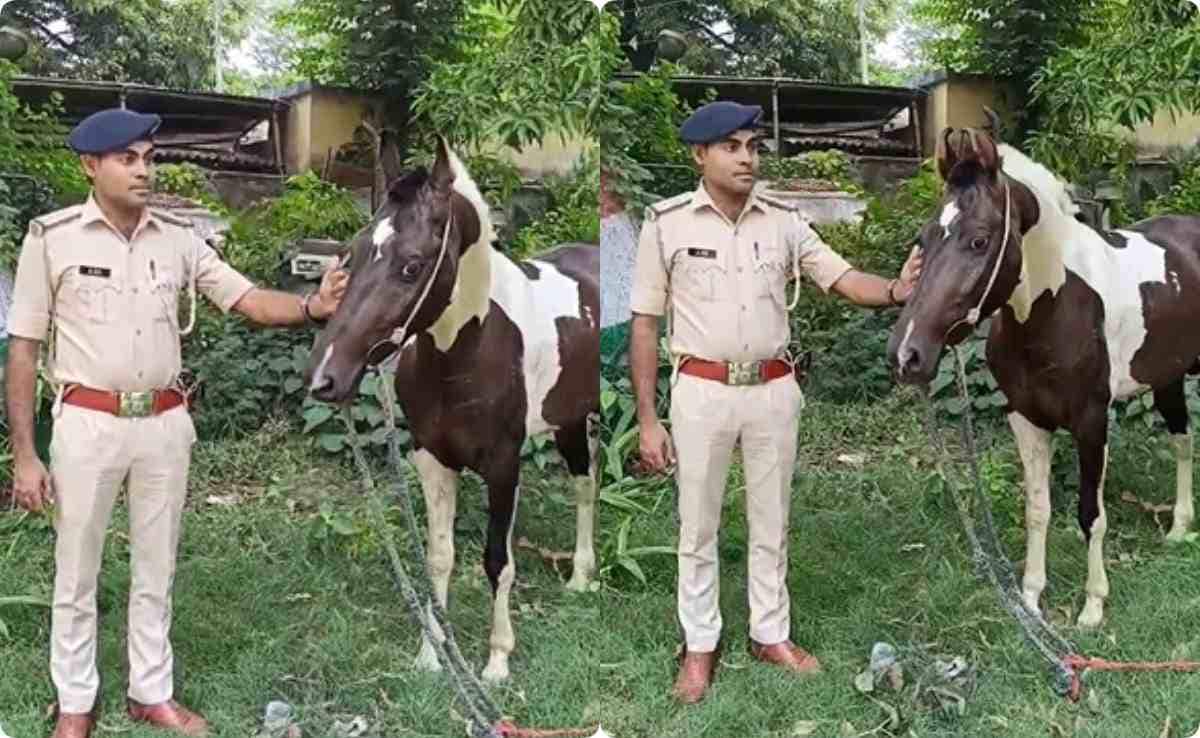 Latest and Breaking News on NDTV Latest and Breaking News on NDTV