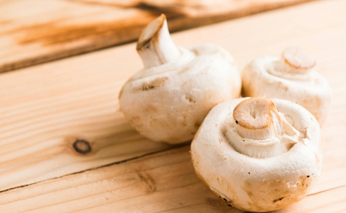 Mushroom might help to deal with stress. Photo: Pexels Mushroom might help to deal with stress. Photo: Pexels