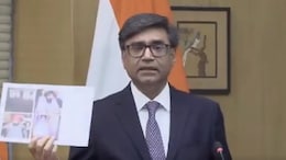 "New Low Even For Pak": Government Says Places Of Worship In India Targeted