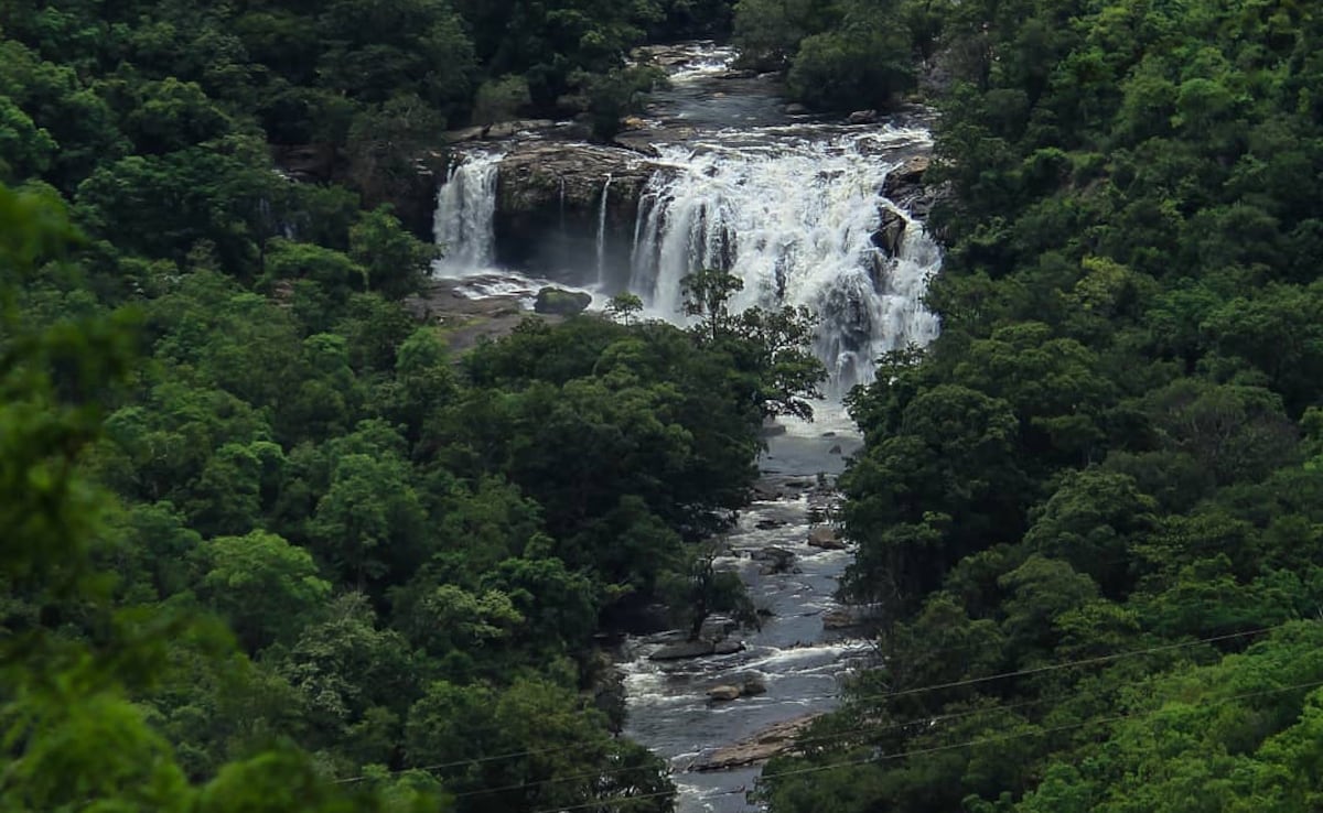 Thoovanam Falls. Photo: Instagram/natureskaper