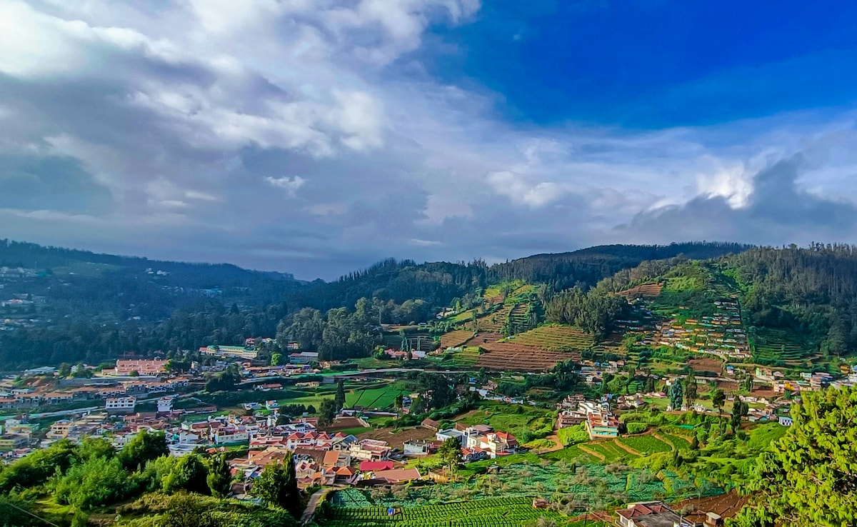 Photo: Unsplash Photo: Unsplash