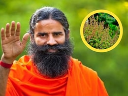 Baba Ramdev ने बताया तुलसी का कैसे करना चाहिए सेवन, शरीर की कई दिक्कतें हो जाएंगी दूर Baba Ramdev ने बताया तुलसी का कैसे करना चाहिए सेवन, शरीर की कई दिक्कतें हो जाएंगी दूर