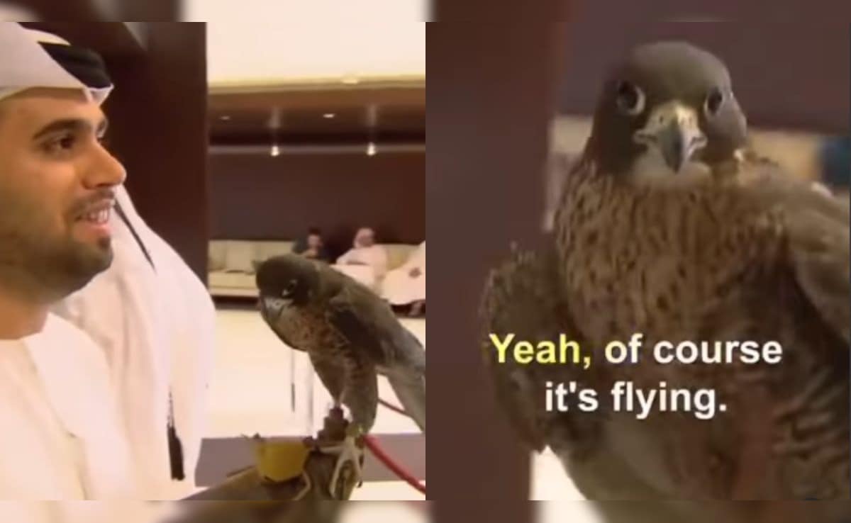 елитни жители на ОАЕ са известни със своя пищен начин