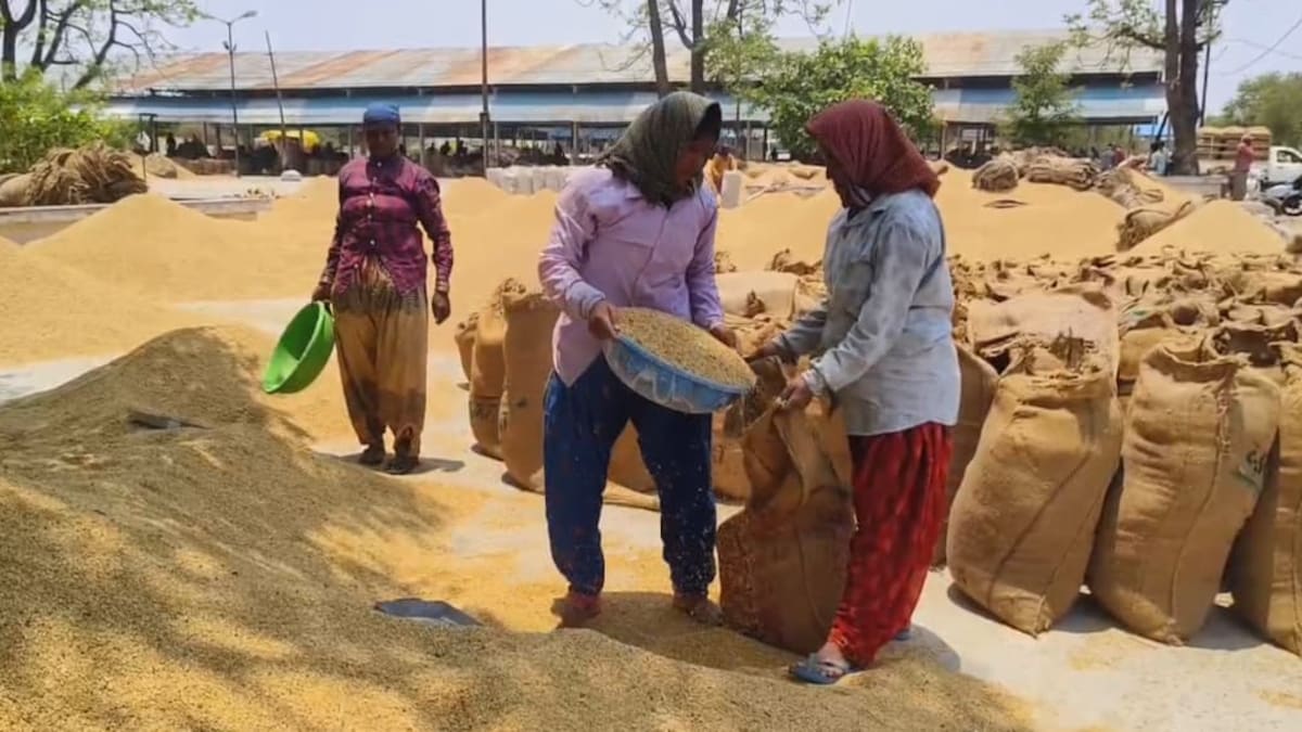 छत्तीसगढ़ में धान खरीदी: कांग्रेस ने उठाई समय सीमा एक माह बढ़ाने की मांग